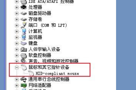 1642663594278071.png image.png