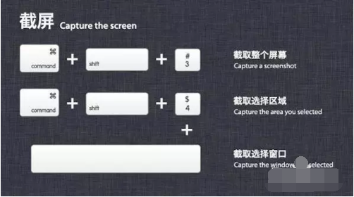 蘋果系統 蘋果系統