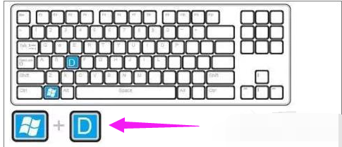 使用技巧 使用技巧