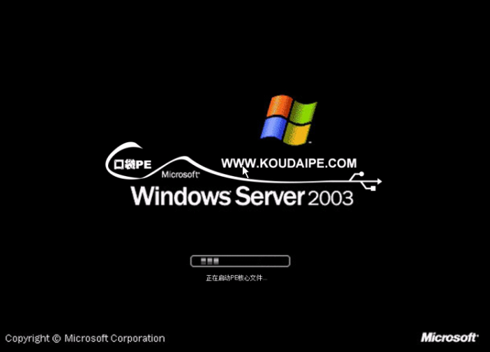 引導項丟失 引導項丟失