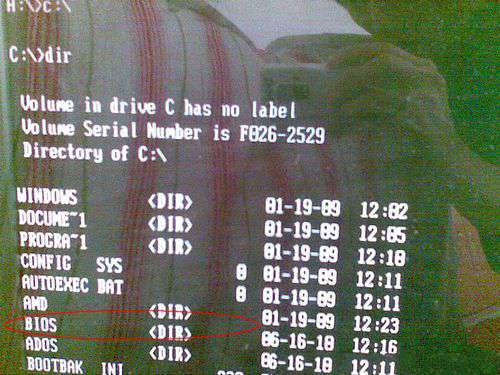 1482392921129555.jpg 5.jpg